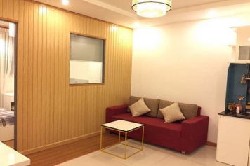 Serviced apartment for lease in Saigon city Duong Ba Trac street district 8