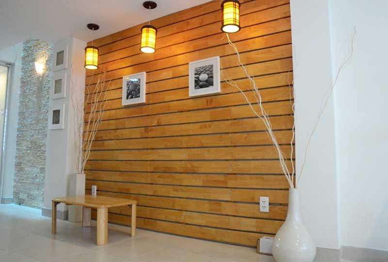 Furnish house for lease in Ho Chi Minh City, Bach Dang St, Binh Thanh District