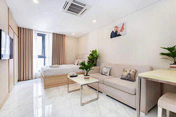 Nice flat for lease in Tan Dinh Ward District 1 Ho Chi Minh City