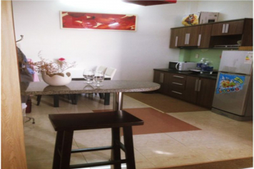 1 bedroom serviced apartment at Nguyen Thi Minh Khai st Dakao district 1