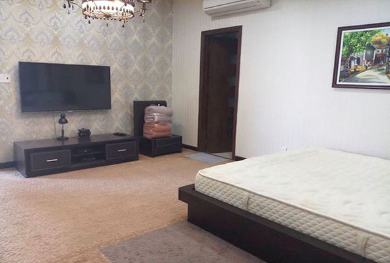 Penthouse serviced apartment for rent in Cuu Long street Tan Binh District 13