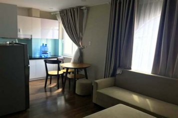 Serviced apartment for lease in Saigon - Dinh Tien Hoang street district 1