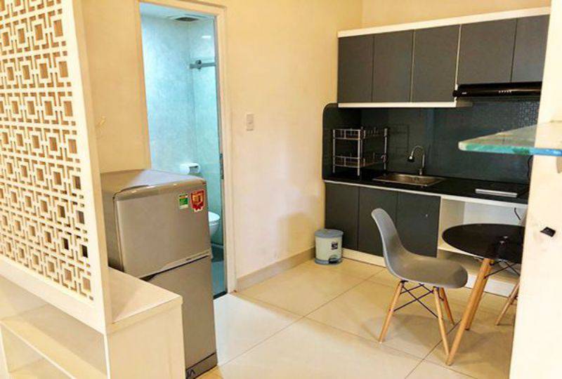 Serviced apartment for rent in Binh Thanh district Huynh Man Dat street 2