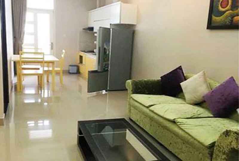 Serviced apartment on Cuu Long street Tan Binh district now renting