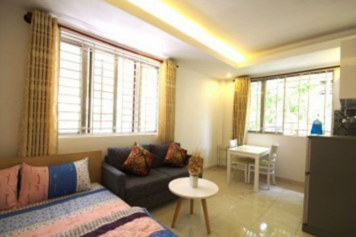 Studio serviced apartment for rent in Ly Chinh Thang street District 3