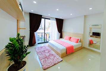 Tran Dinh Xu serviced apartment for rent in District 1 Saigon