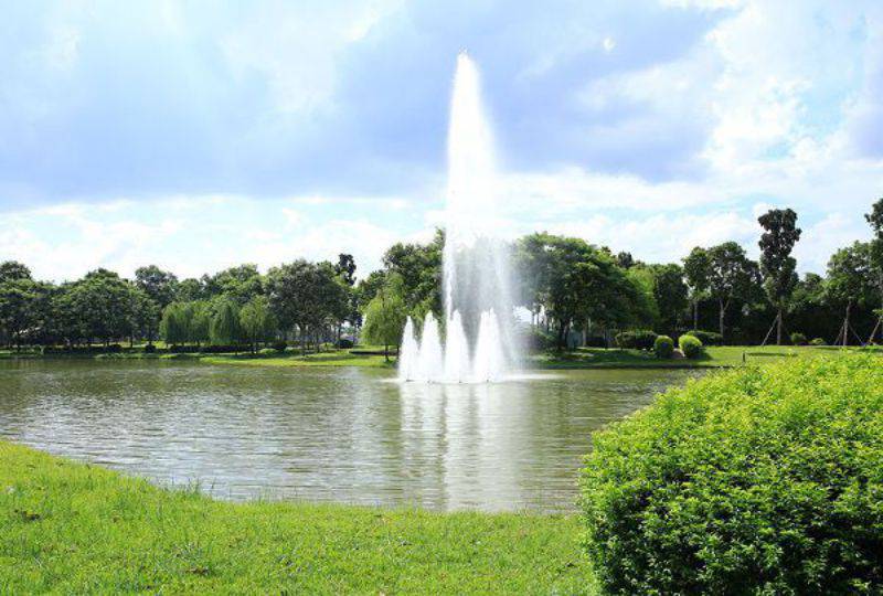 Nice apartment for rent on Celadon City apartment Tan Phu district Saigon