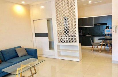 Serviced apartment for rent in Binh Thanh district Huynh Man Dat street