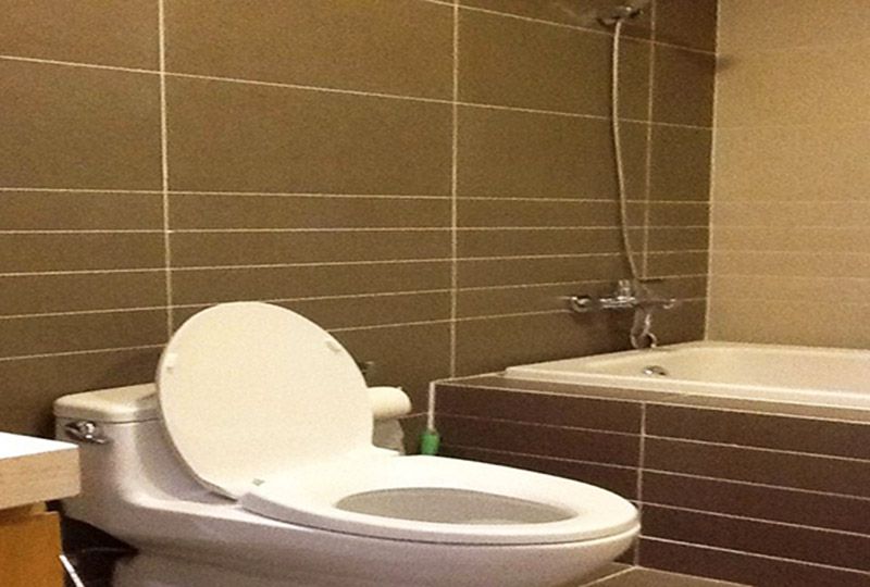 Nice apartment for rent in Sunrise City apartment , front of Lotte market District 7.
