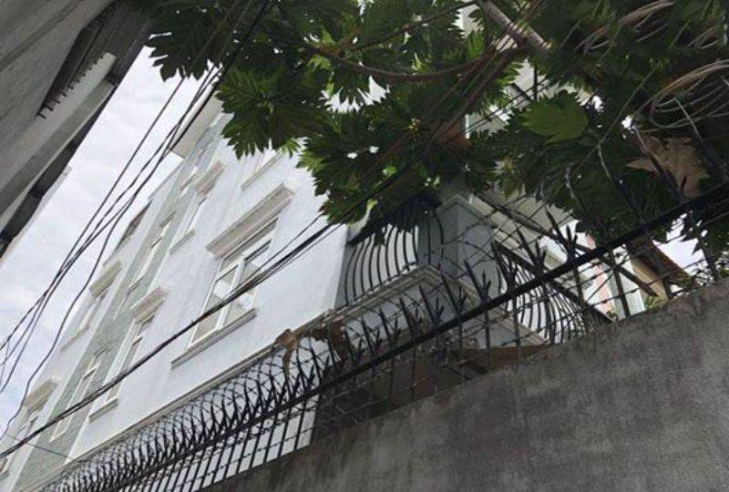 Nice House for rent in Go Vap district Ho Chi Minh Le Hoang Phai street