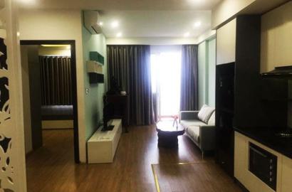 Nice apartment for rent in Ho Chi Minh city Botanica apartment Phu Nhuan