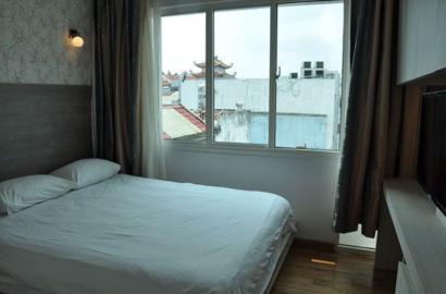 Elegant serviced apartment for rent in Nam Ky Khoi Nghia district 3 HCMC