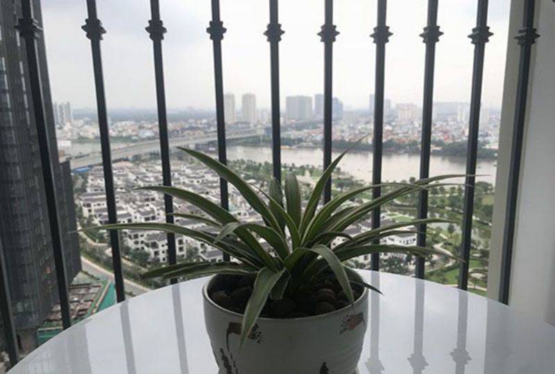 Serviced apartment for lease in Binh Thanh dist on Vinhomes Central Park