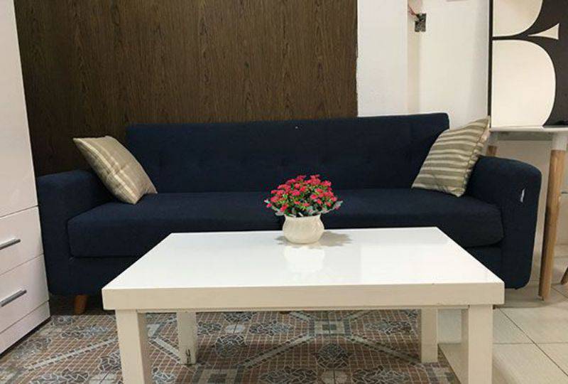 Serviced apartment for rent in Ho Chi Minh in Pham Ngoc Thach street Dist 3