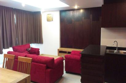 Serviced apartment for rent on Cuu Long street Tan Binh District