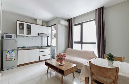 Serviced apartment for rent on Thao Dien area street 46 district 2 Saigon