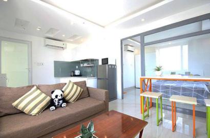 Cozy serviced apartment for lease on Duong Ba Trac street district 8 HCM