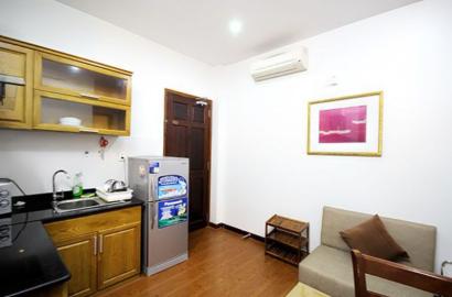 Serviced apartment for rent in district 1 Nguyen Dinh Chieu street Saigon