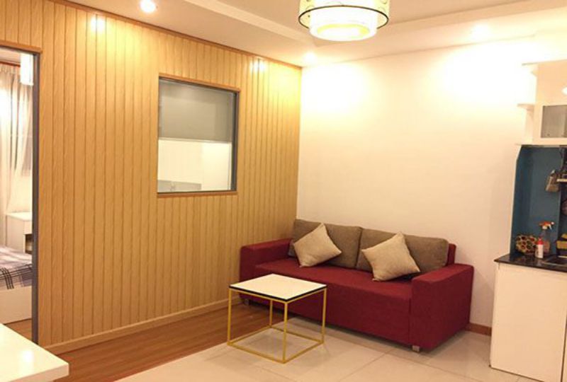 Serviced apartment for lease in Saigon city Duong Ba Trac street district 8