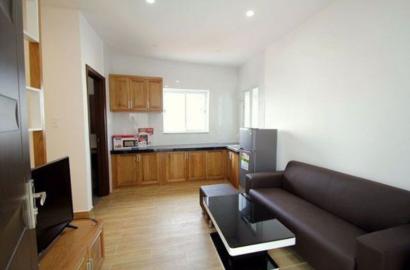 Serviced apartment for rent on Tran Ke Xuong street Phu Nhuan District
