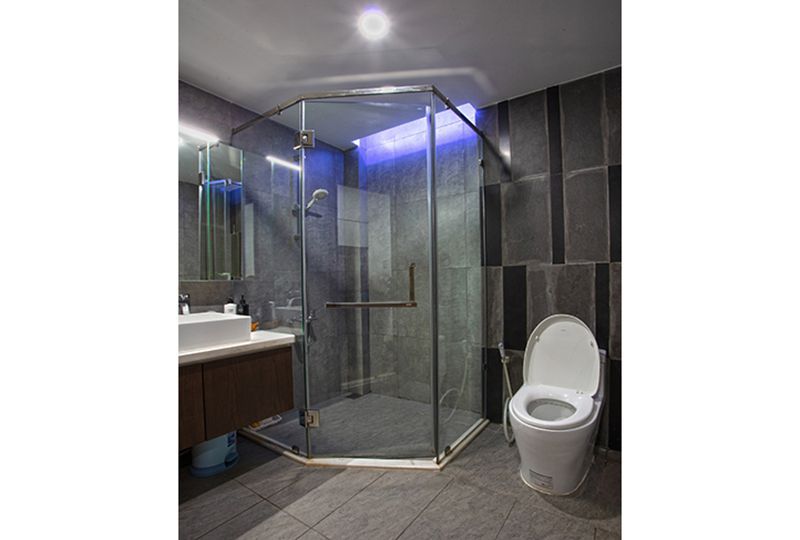 Now leasing a serviced apartment near the Zoo Dakao district 1 Saigon city