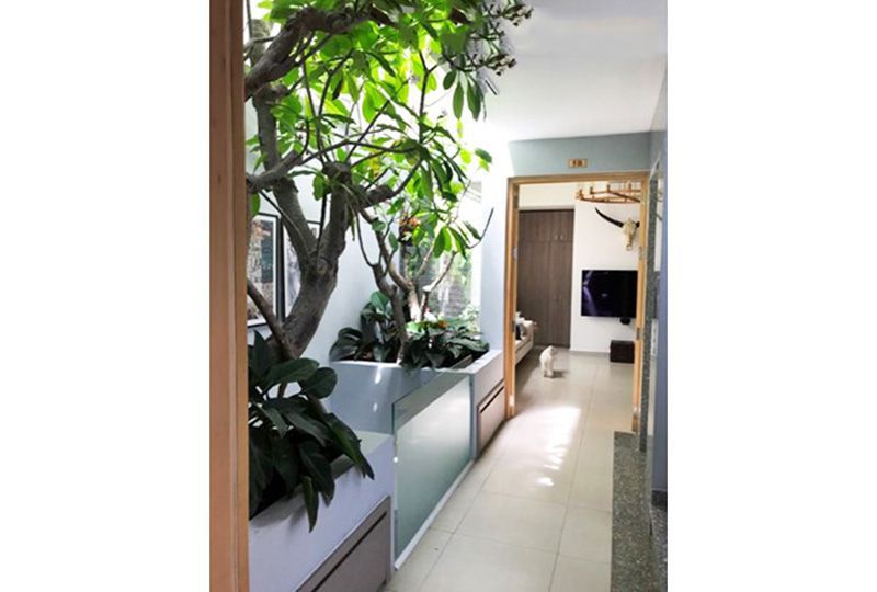Serviced apartment for lease on Khanh Hoi street District 4 Ho Chi Minh