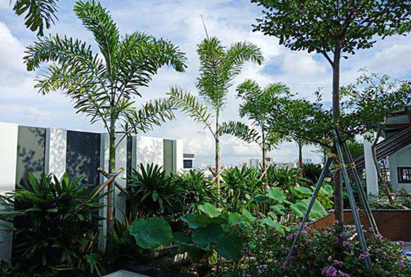 New serviced apartment on Le Van Sy street Tan Binh district for rent