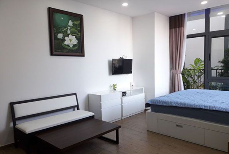 Nice serviced apartment for lease in District 3 Cao Thang street HCMC