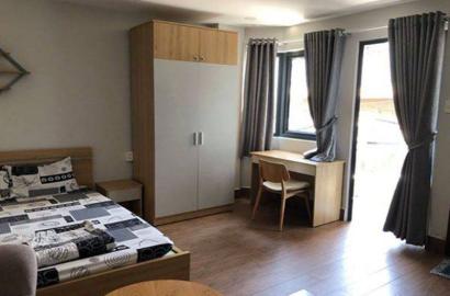 Cheap studio serviced apartment on Dien Bien Phu - Binh Thanh for rent