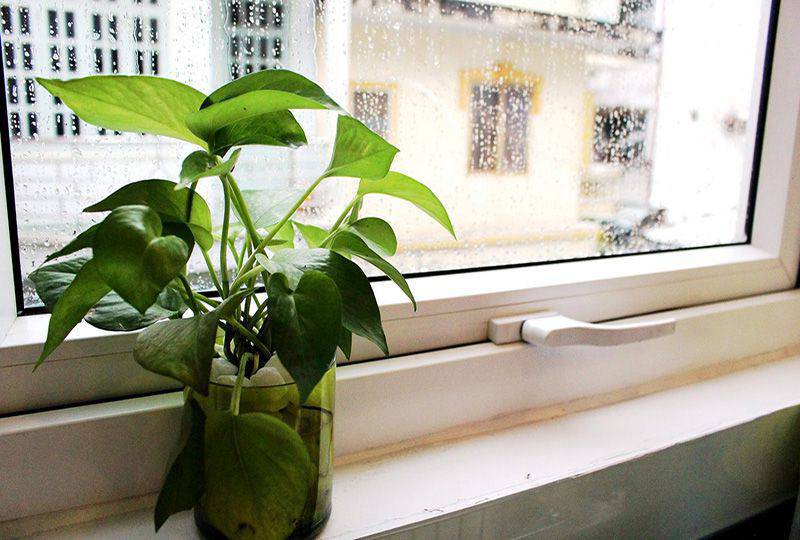 Renting a serviced apartment in District 3 Saigon Vo Thi Sau Street