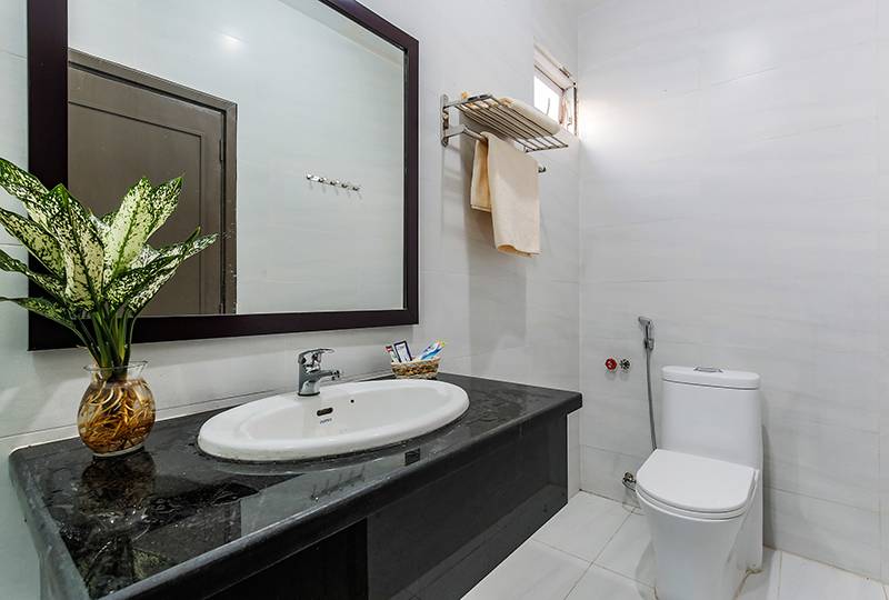 Serviced apartment for rent in District 1 Saigon on Tran Nhat Duat Street