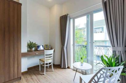 Airy serviced apartment in Tan Dinh area District 1 Ho Chi Minh for rent