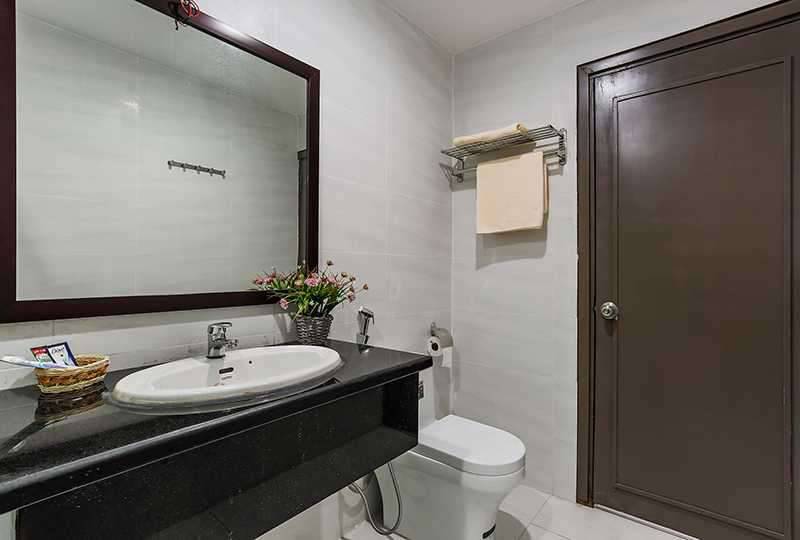 Airy serviced apartment in Tan Dinh area District 1 Ho Chi Minh for rent