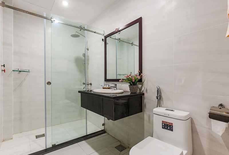Airy serviced apartment in Tan Dinh area District 1 Ho Chi Minh for rent