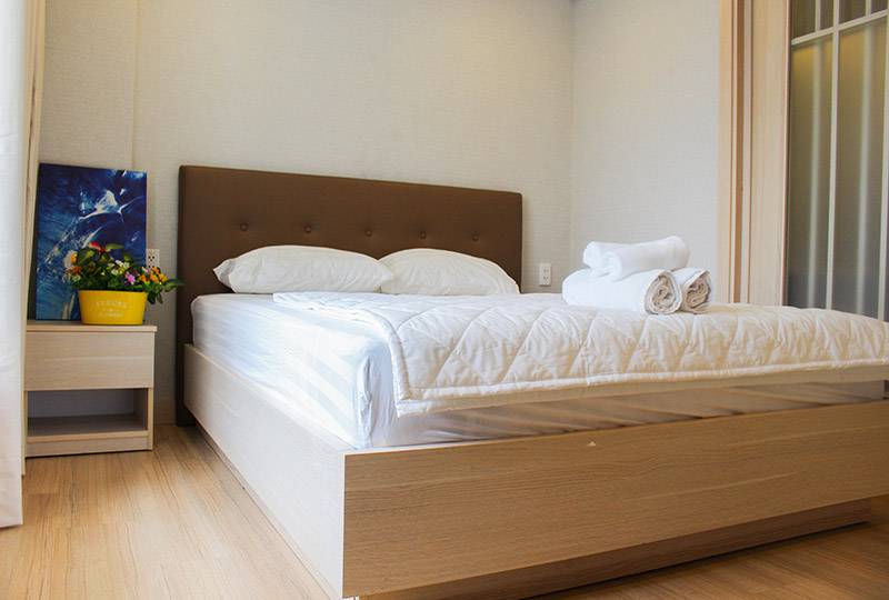 Now for rent a Serviced apartment on Tran Khanh Du street Tan Dinh area