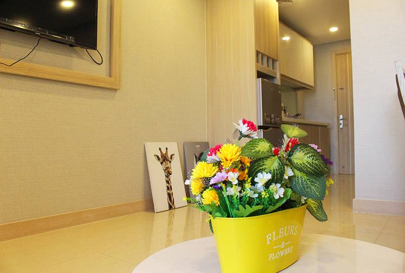 Nice Serviced apartment for rent in Tan Dinh District 1 Ho Chi Minh City