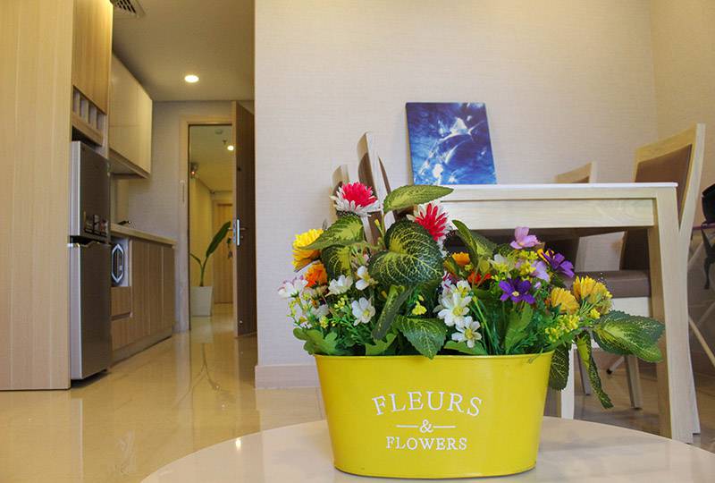 Nice Serviced apartment for rent in Tan Dinh District 1 Ho Chi Minh City