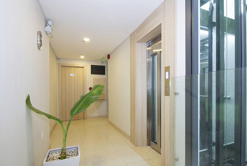 Penthouse apartment for rent in Tan Dinh ward District 1 Ho Chi Minh City