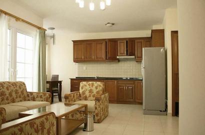 Serviced apartment for rent on Truong Son street - Tan Binh District