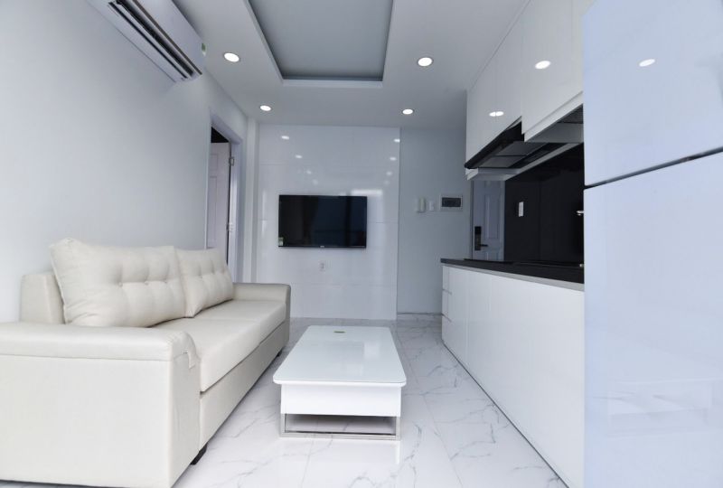 Ruby serviced apartment for rent on Nguyen Thong Street District 3 Saigon