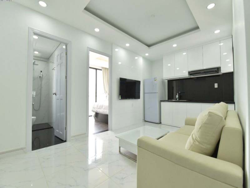 The Sapphire serviced apartment for rent on Nguyen Thong Street District 3