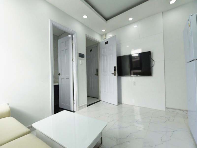 Serviced apartment for rent in District 3 - SGrenting Homes serviced apart