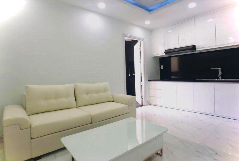 SGrenting Homes serviced apartment for rent in Binh Thanh District