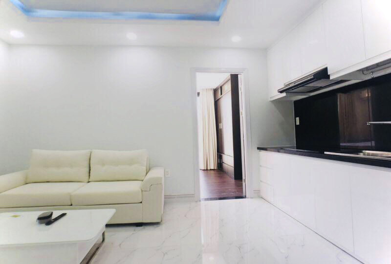 SGrenting Homes serviced apartment for rent in Binh Thanh District