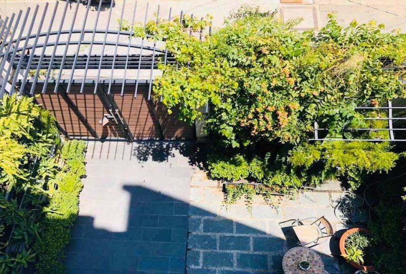 Serviced apartment for rent on Thao Dien, Dist 2 - Terrace garden studio