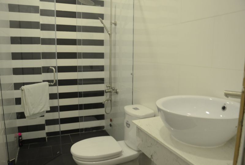Serviced apartment for rent in District 8 next to District 5 and District 1
