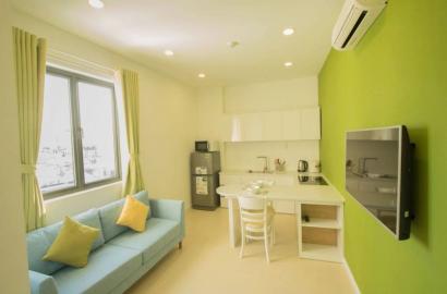 Elegant serviced apartment for lease in District 8 Saigon City