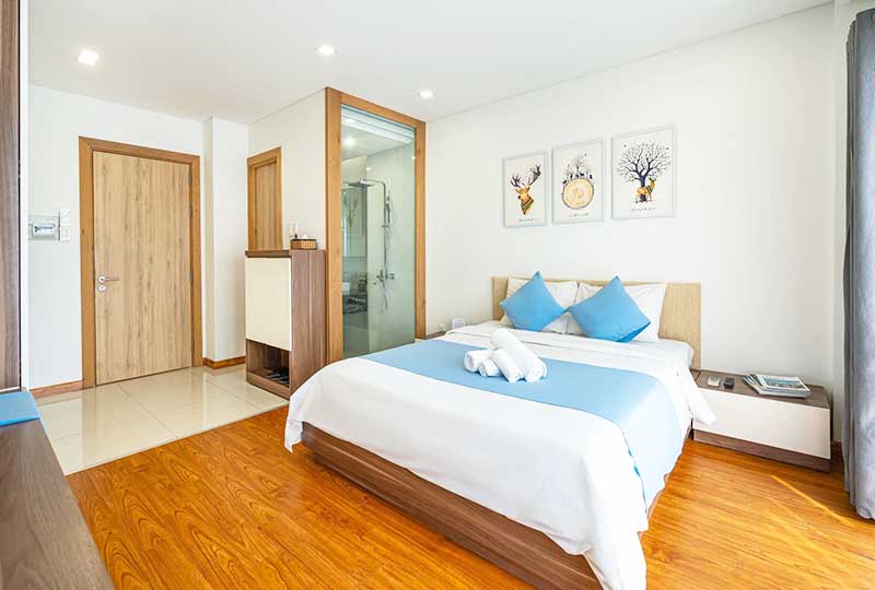 Serviced apartment for rent on Tran Dinh Xu street, District 1 Ho Chi Minh City