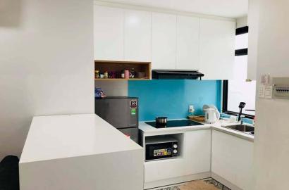 Two-bedroom serviced flat for lease on Thao Dien area Dist 2 Saigon