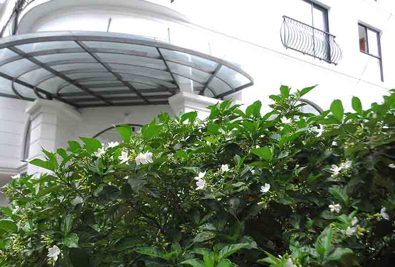 Serviced apartment for rent in Go Vap District Saigon Northern